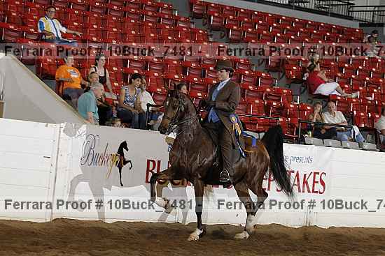 Proof Number 10buck_7481