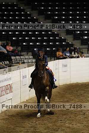 Proof Number 10buck_7488