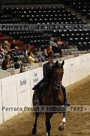 Proof Number 10buck_7492