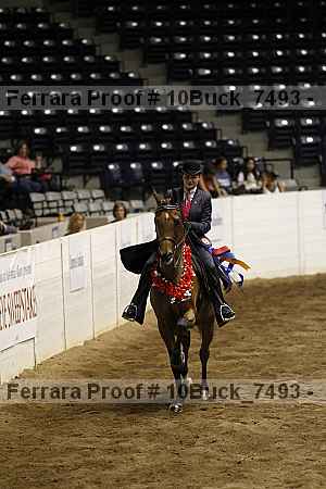 Proof Number 10buck_7493