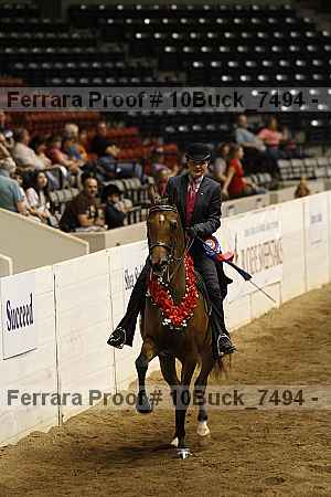 Proof Number 10buck_7494