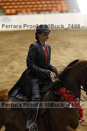 Proof Number 10buck_7498