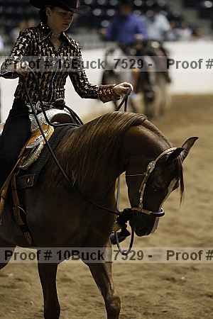 Proof Number 10buck_7529