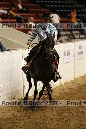 Proof Number 10buck_7537