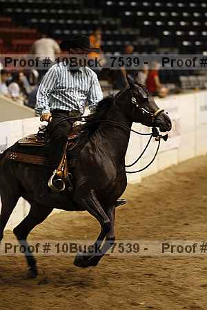 Proof Number 10buck_7539