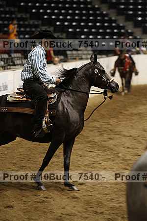 Proof Number 10buck_7540