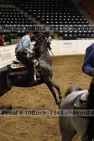 Proof Number 10buck_7541