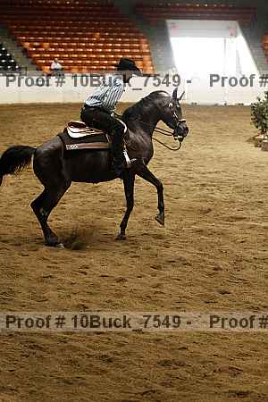 Proof Number 10buck_7549