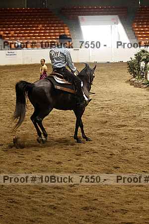 Proof Number 10buck_7550