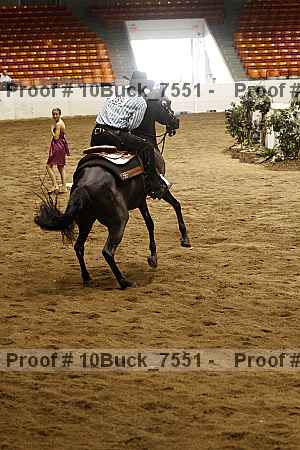 Proof Number 10buck_7551
