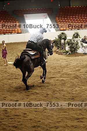 Proof Number 10buck_7553
