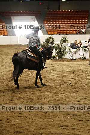 Proof Number 10buck_7554