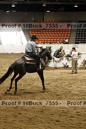 Proof Number 10buck_7555