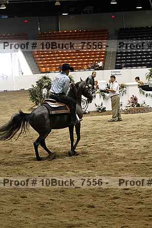 Proof Number 10buck_7556