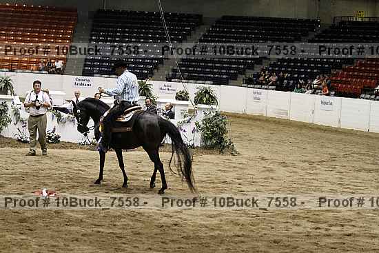 Proof Number 10buck_7558