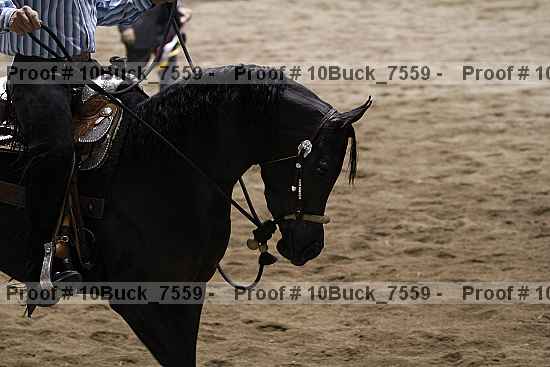 Proof Number 10buck_7559