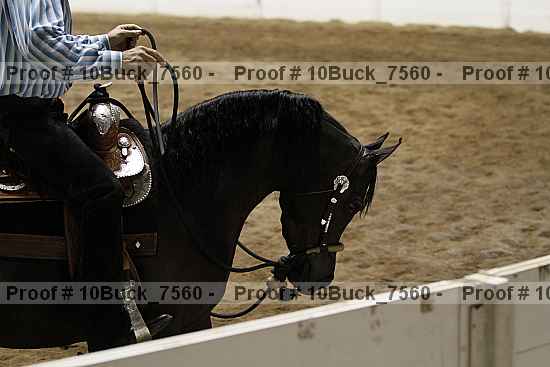 Proof Number 10buck_7560