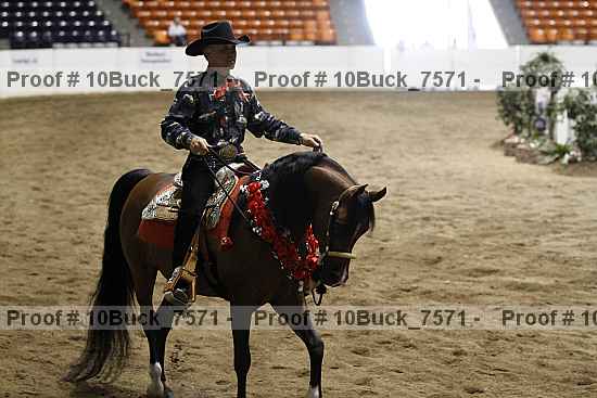 Proof Number 10buck_7571