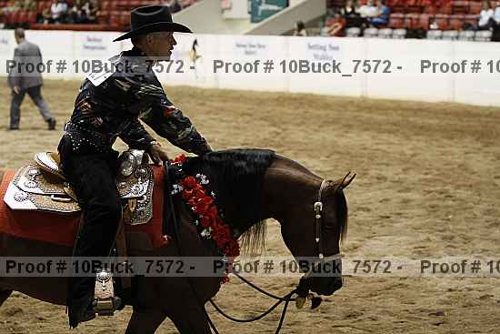Proof Number 10buck_7572