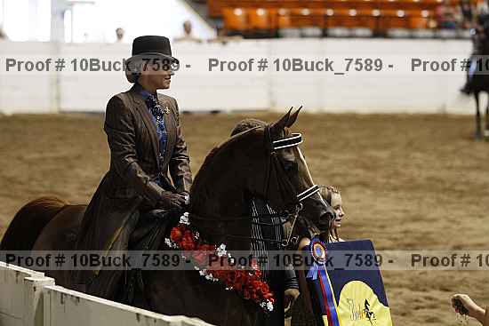Proof Number 10buck_7589