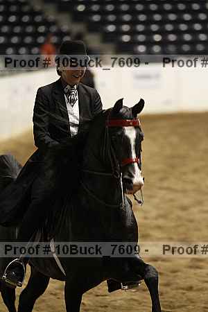 Proof Number 10buck_7609