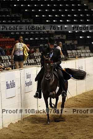 Proof Number 10buck_7611