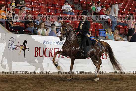 Proof Number 10buck_7617