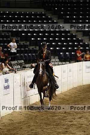 Proof Number 10buck_7620