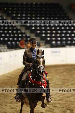 Proof Number 10buck_7631