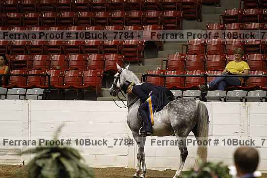 Proof Number 10buck_7784