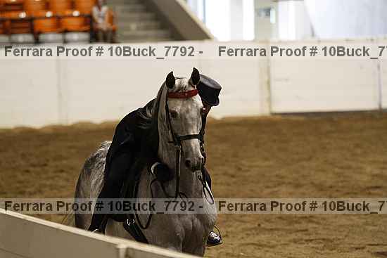 Proof Number 10buck_7792