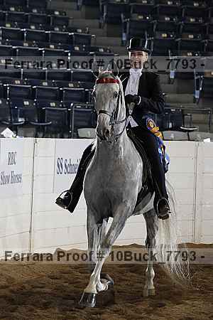 Proof Number 10buck_7793