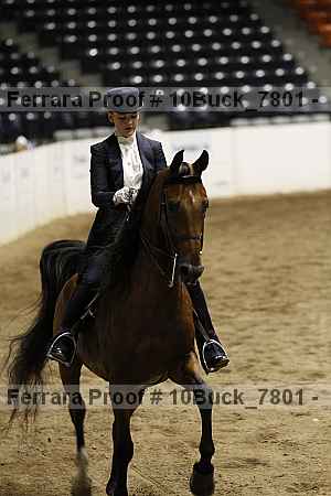 Proof Number 10buck_7801