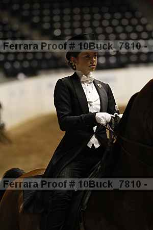 Proof Number 10buck_7810