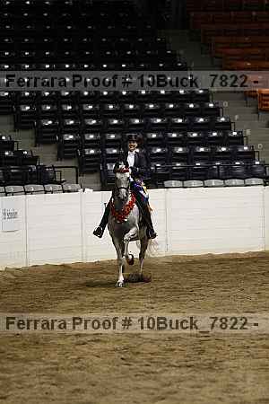 Proof Number 10buck_7822