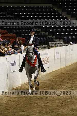 Proof Number 10buck_7823