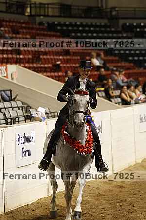 Proof Number 10buck_7825