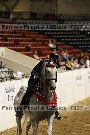 Proof Number 10buck_7827