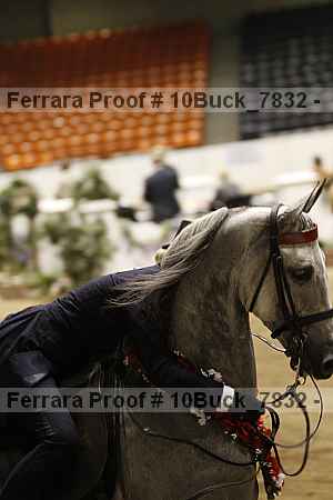 Proof Number 10buck_7832