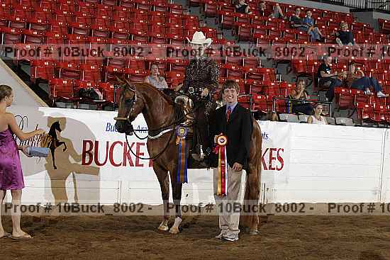 Proof Number 10buck_8002