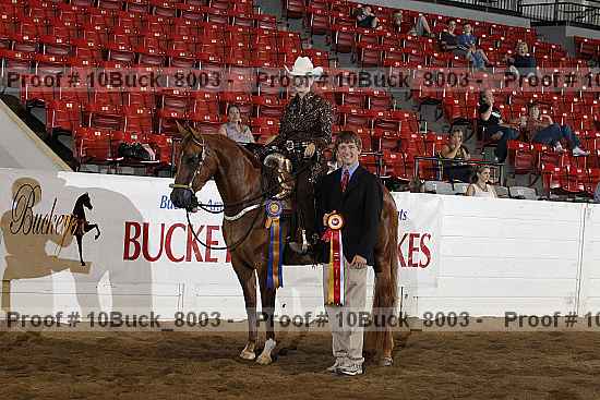 Proof Number 10buck_8003