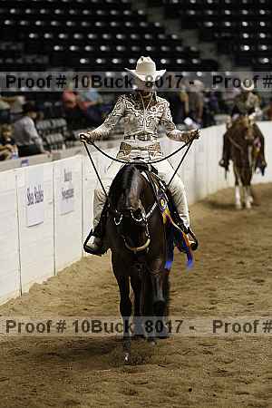 Proof Number 10buck_8017