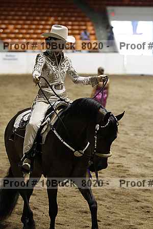 Proof Number 10buck_8020