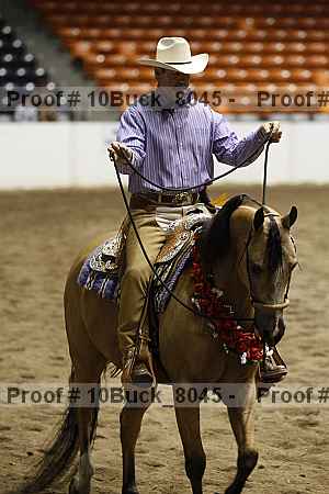 Proof Number 10buck_8045
