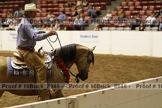 Proof Number 10buck_8046