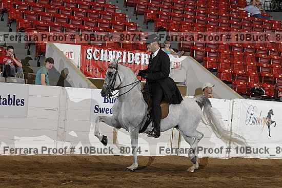 Proof Number 10buck_8074