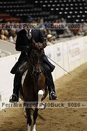 Proof Number 10buck_8086