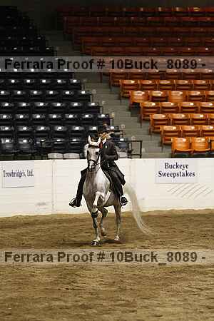 Proof Number 10buck_8089