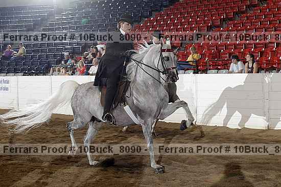 Proof Number 10buck_8090