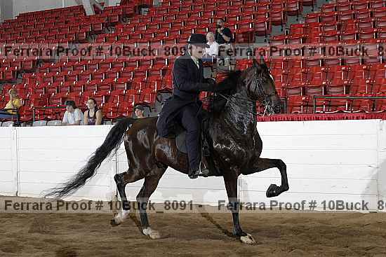Proof Number 10buck_8091
